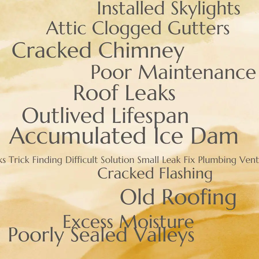 types of roof leaks