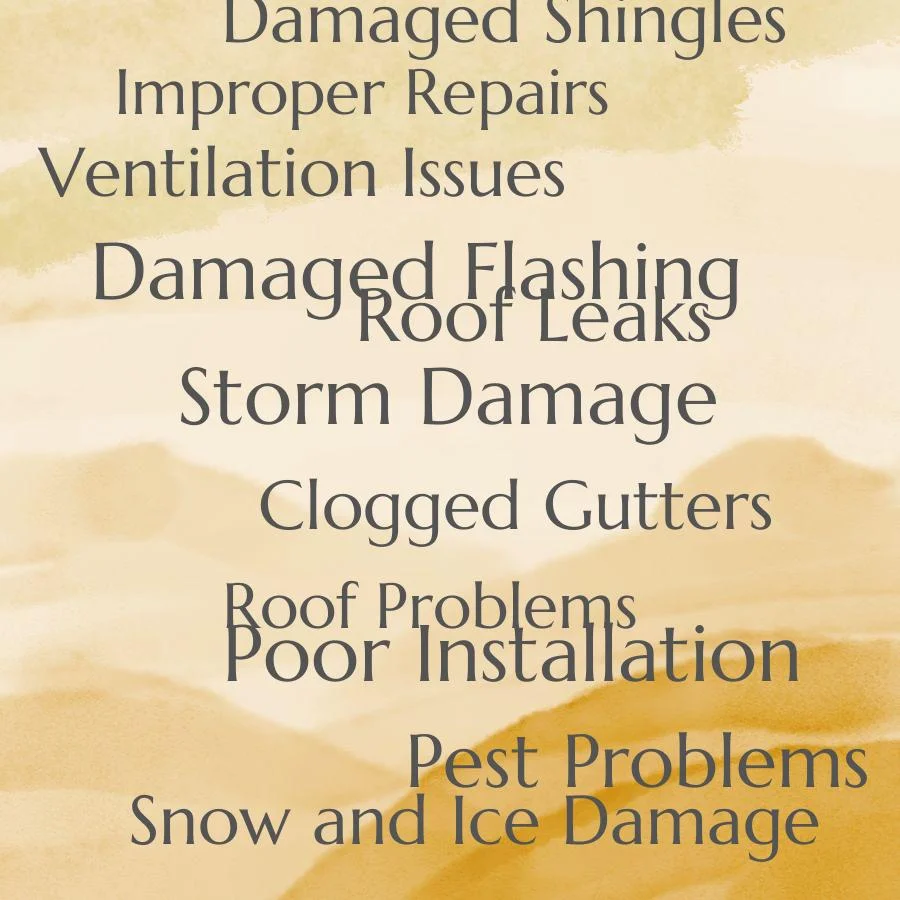 types of roof problems