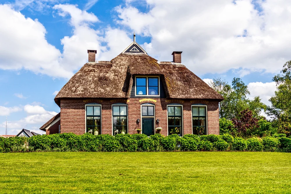 Thatched Roof modern house