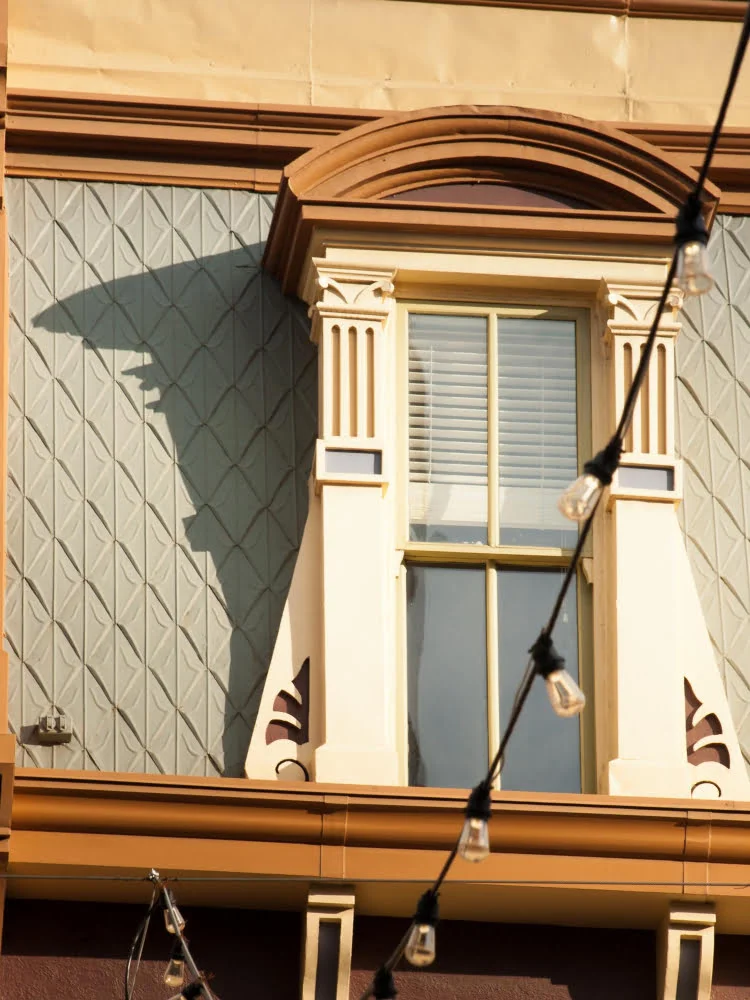 Arched Dormer Windows