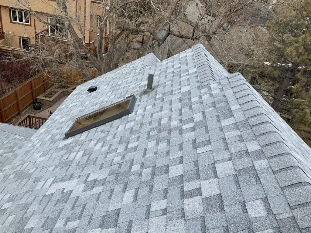 Black Roofing & Waterproofing