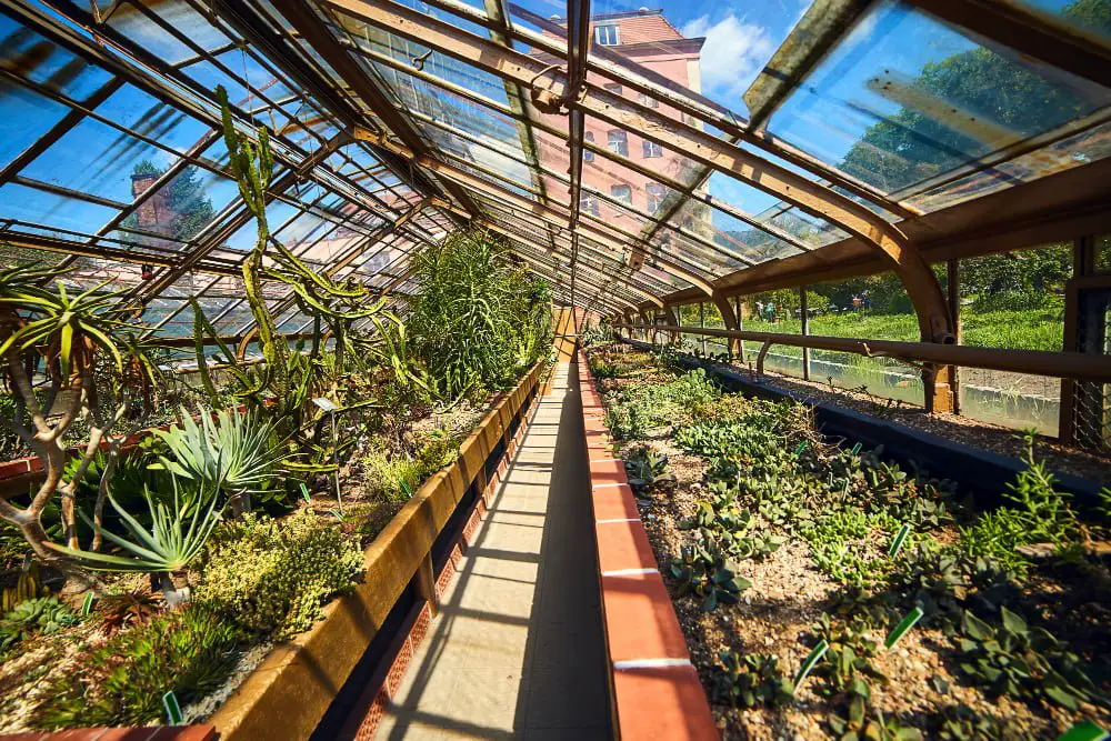 Copper Greenhouse Roof