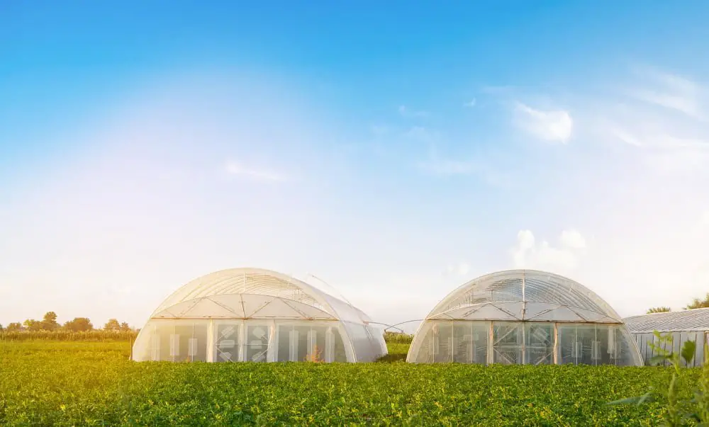 Dome-shaped Roof Design Greenhouse