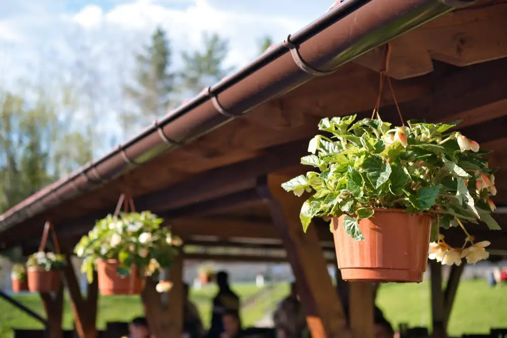Eaves With Attached Hanging Flower Pots