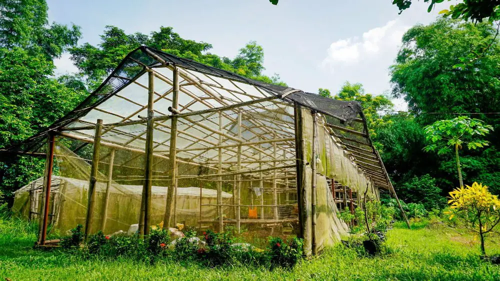 Eco-friendly Bamboo Roofing Greenhouse