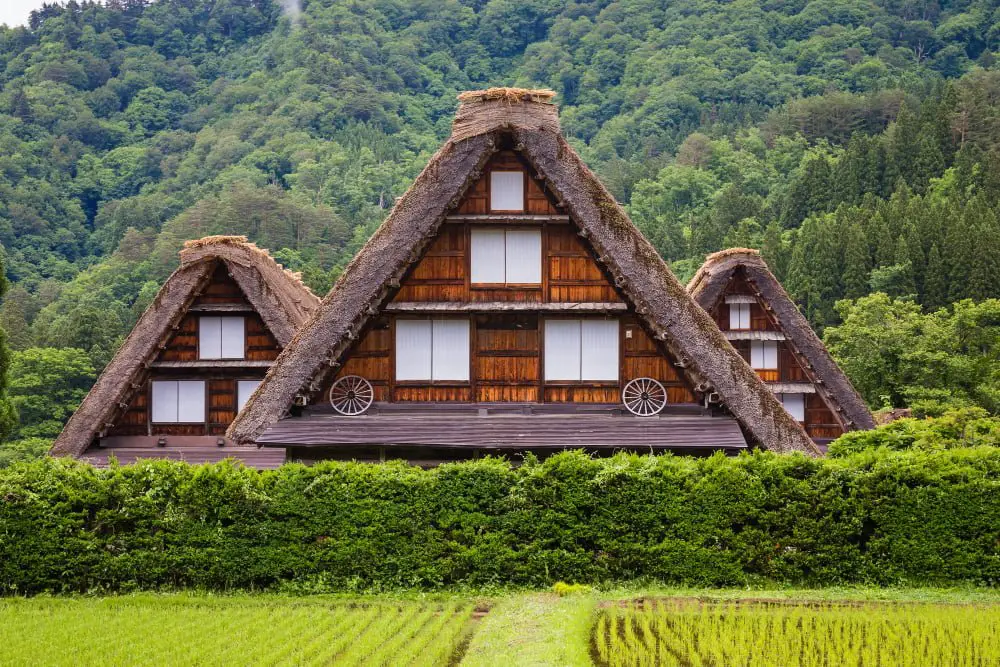 Gabled Minka Roofs With Thatching Japanese House