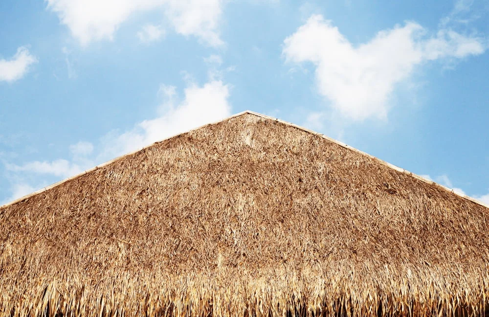 Grass Thatched Cabin Roof