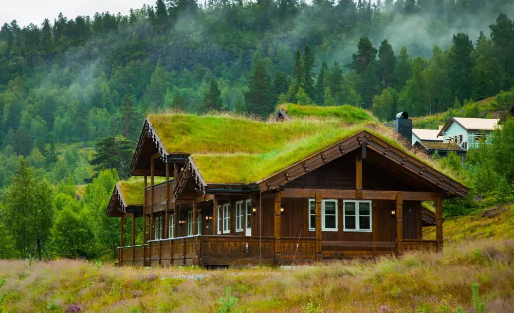 Green Living Cabin Roof With Natural Plants