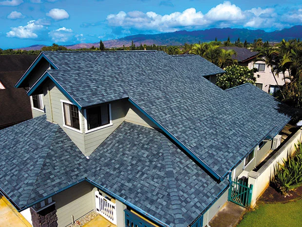 Hawaiian Local