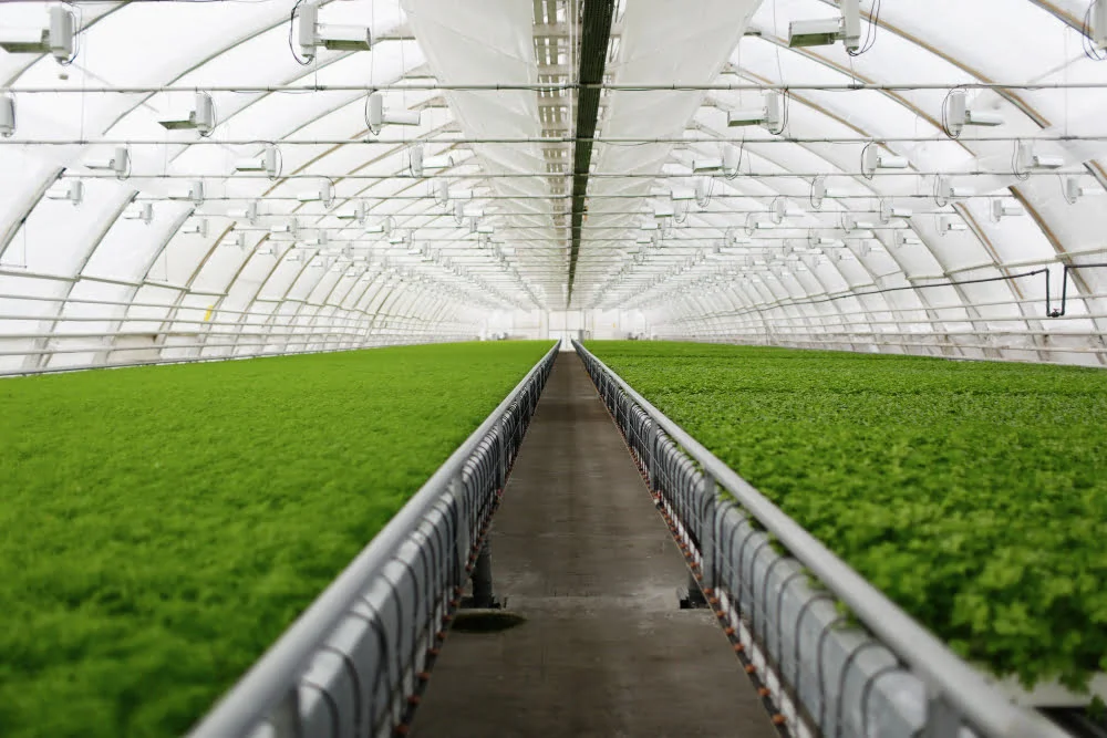 Insulated Retractable Fabric Roofing Greenhouse
