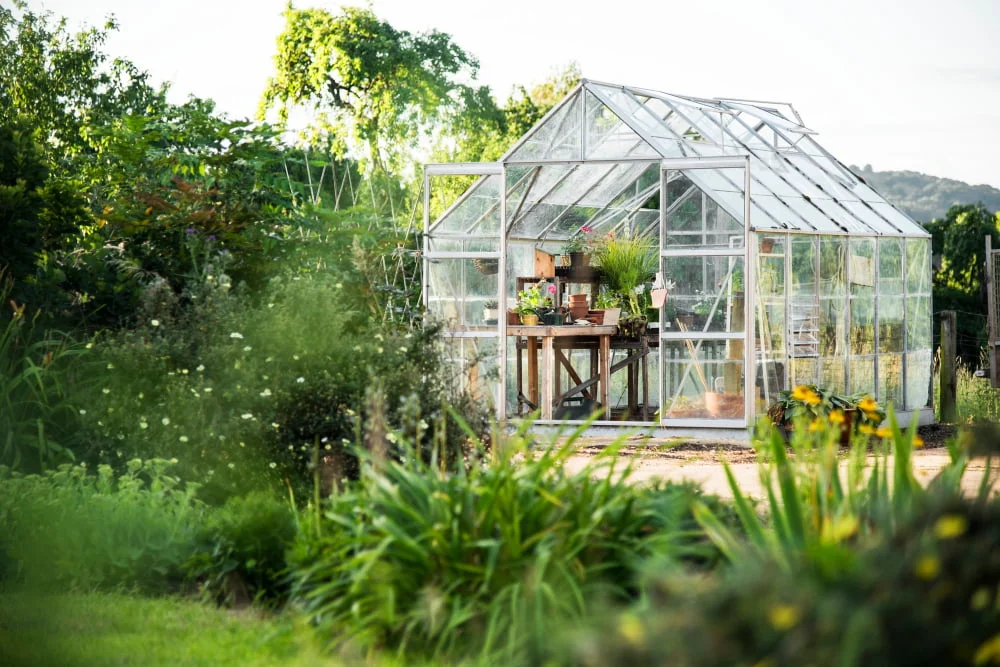 Louvered Vent Roof Greenhouse