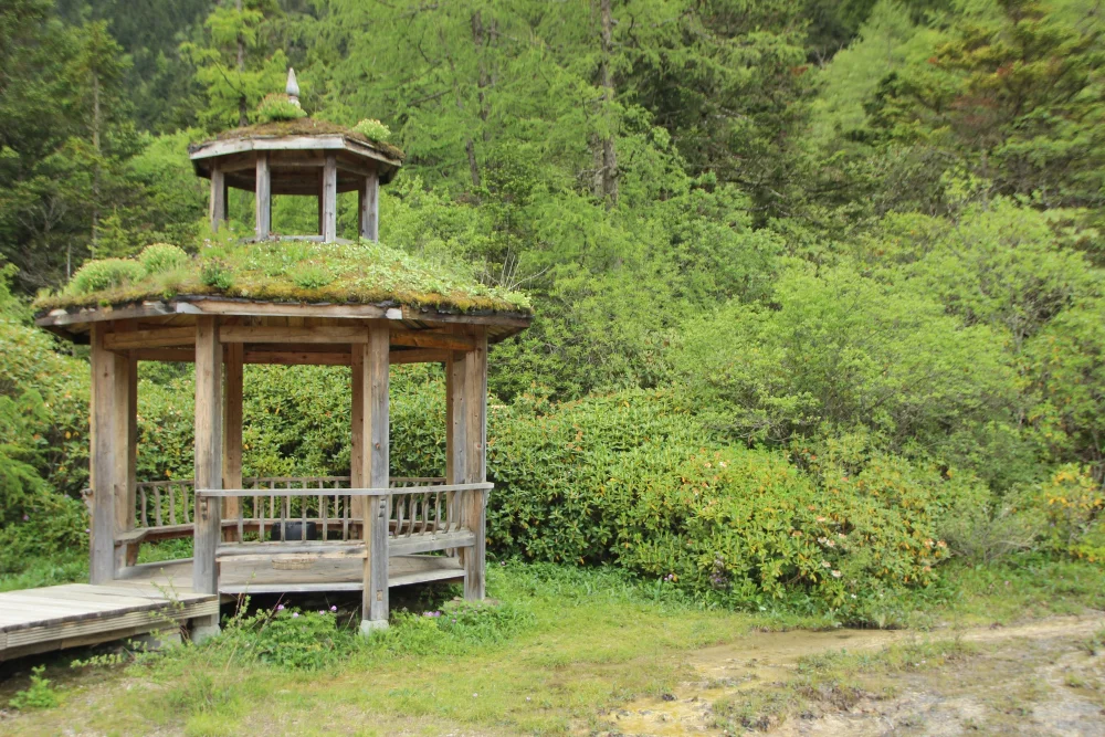 Open-air Octagonal Roof With Trellis