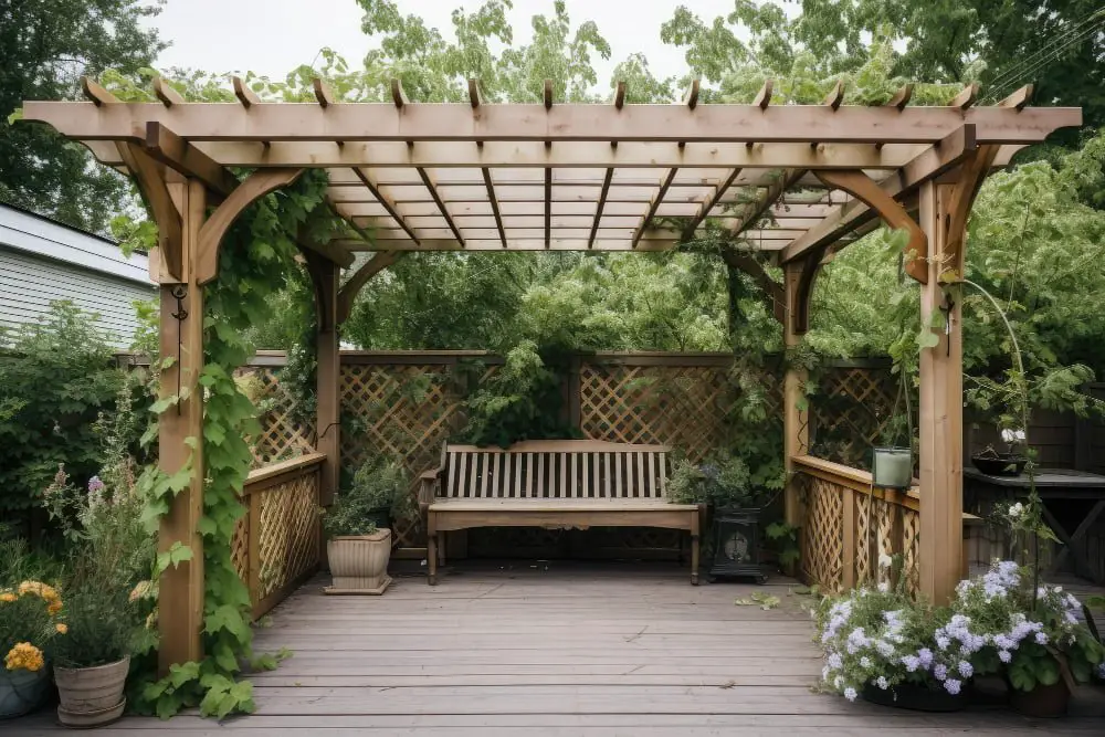 Pergola Style Roof With Climbing Plants