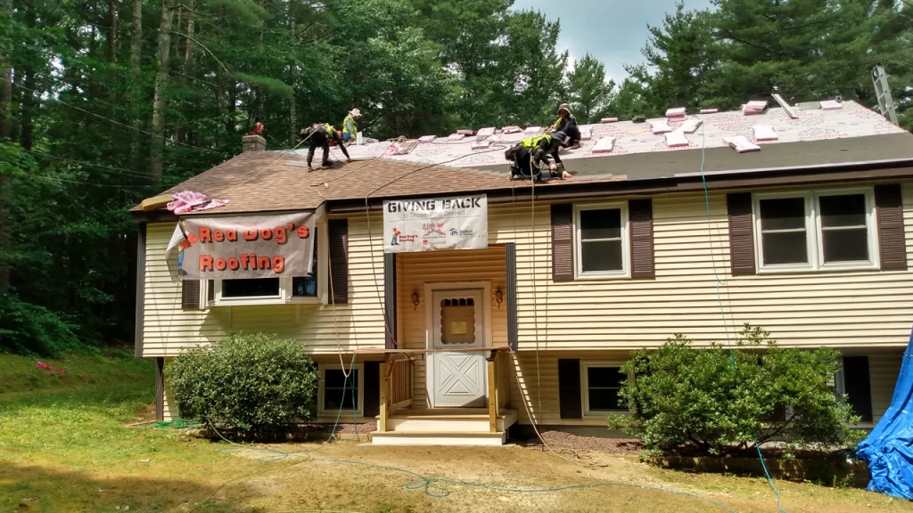 Red Dog Roofing