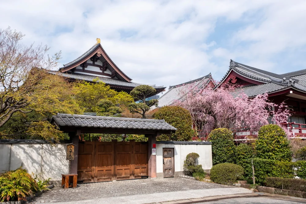 Steeply Pitched Kirizuma-style Roofs