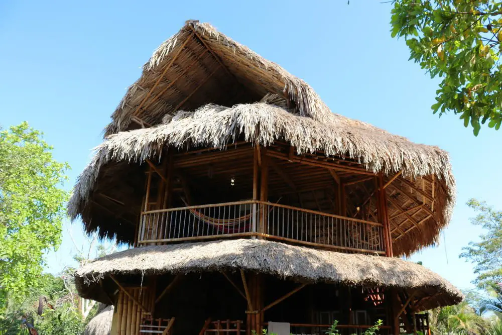 Thatched Bamboo Cabin Roof
