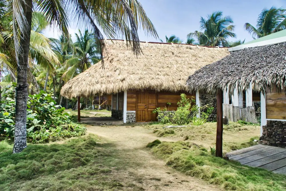 Thatched Sloped Roof 