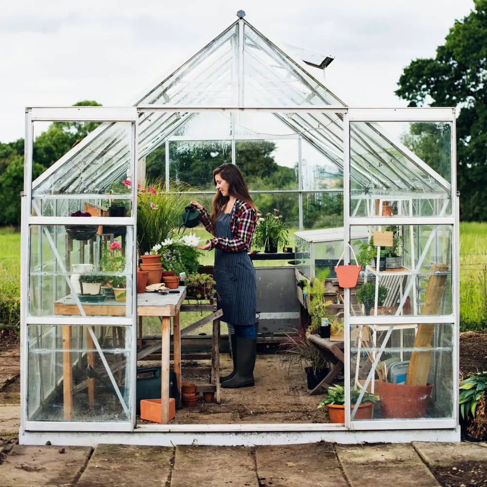 Traditional Glass Paneled Roof Greenhouse
