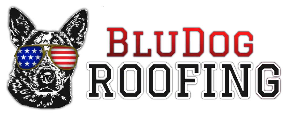 Bludog Roofing roofing company in Delaware