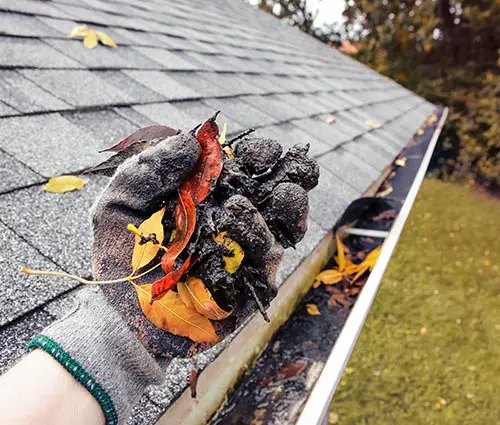 All Seasons Gutter Cleaning & Installation Service