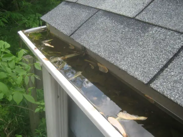 Absolutely Clean Services roof gutter installation Wyoming