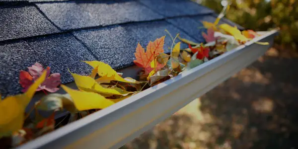 Cypress Rain Gutters roof gutter installation Texas