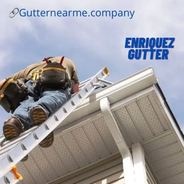 The gutter installation company's website is called "Gutter Installation Chicago- Repair - Downspout Replace | near me" and can be found at https://www.gutternearme.company/ gutter installation Illinois