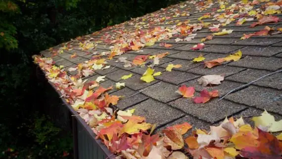 Northwest Rain Gutter roof gutter installation Washington