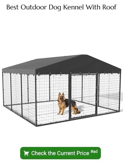 outdoor dog kennel with roof